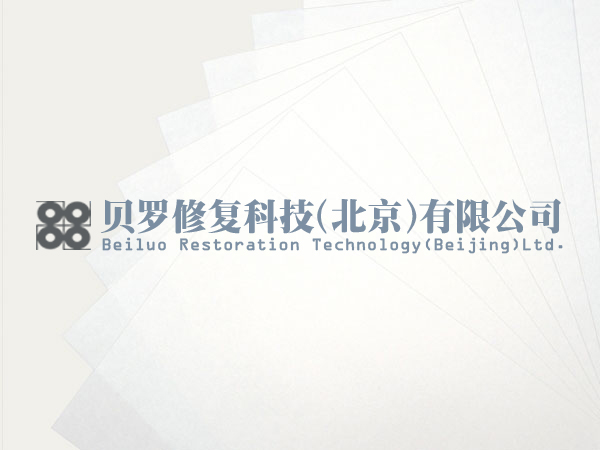 德国进口archival paper影像档案纸